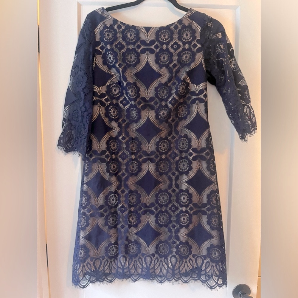 Eliza J sheath dress with navy lace